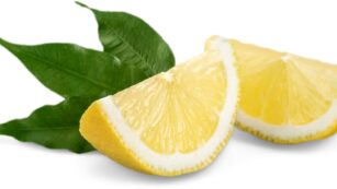 Clipart:djhqskod7yk= Lemon